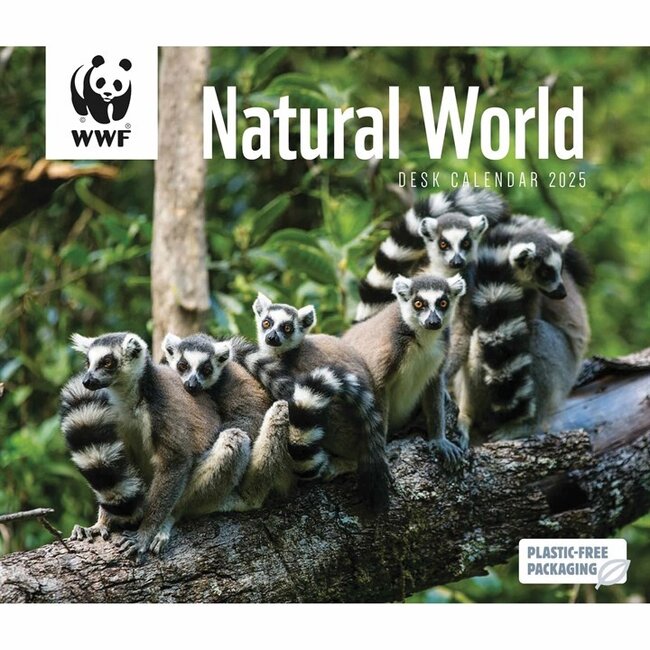 CarouselCalendars WWF Calendario Mundo Natural 2025 En caja