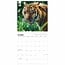 WWF Tiger Kalender 2025