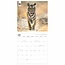 WWF Tiger Kalender 2025