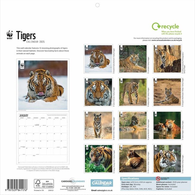 Buying Tiger Calendar 2025 order online easily Kalenderwinkel.nl