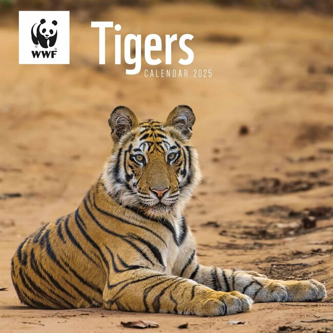 CarouselCalendars WWF Tiger Kalender 2025