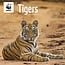 WWF Tiger Kalender 2025