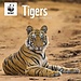 CarouselCalendars Calendrier WWF des tigres 2025