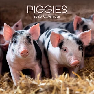 The Gifted Stationary Pig Calendar 2025