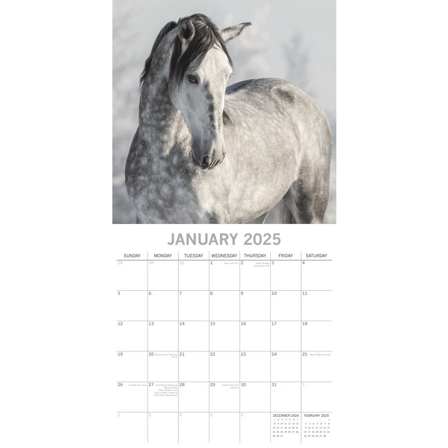 Paarden Kalender 2025 Kopen? Eenvoudig en snel online Kalenderwinkel.nl