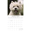 Calendario West Highland White Terrier 2025