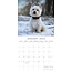 Calendario West Highland White Terrier 2025