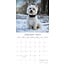 Calendrier West Highland White Terrier 2025