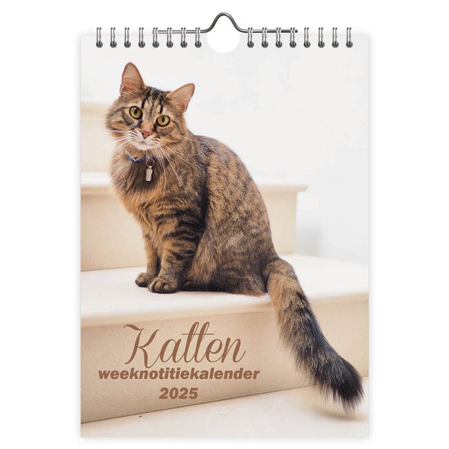 Cats WEEKnotice calendrier 2025