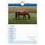 Horses WEEKnotice calendar 2025