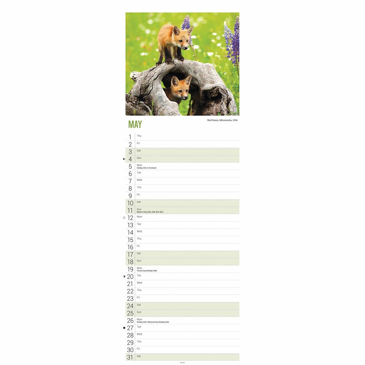 WWF Beautiful World Slimline Calendar 2025 Buy? Order easily