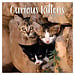 TL Turner Calendrier Curious Kittens 2025