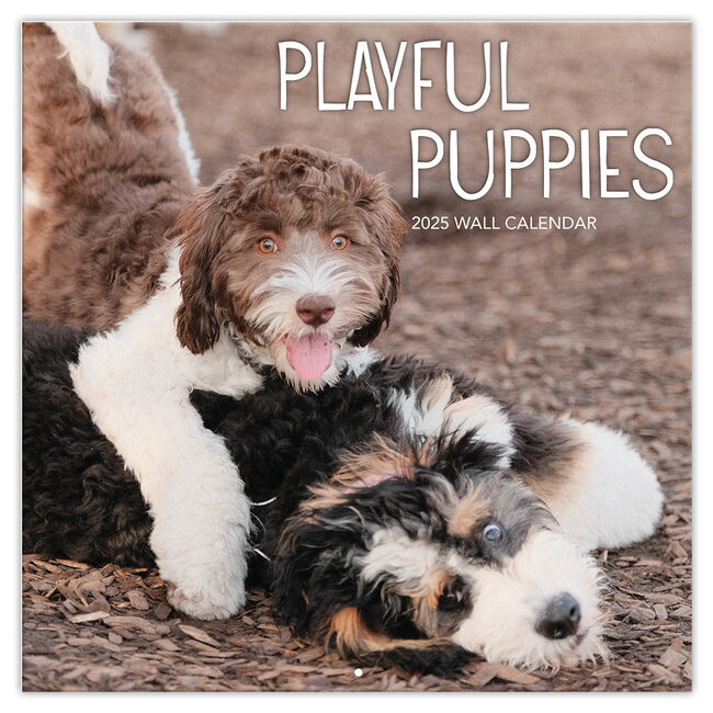 Playful Puppies Calendar 2025 TL Turner