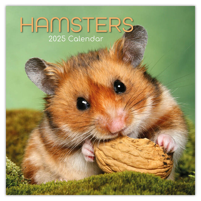 Calendrier Hamster 2025