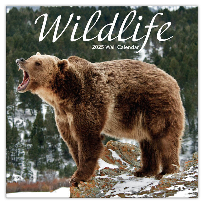 TL Turner Wildlife calendar 2025