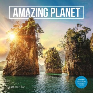 CarouselCalendars Calendrier Amazing Planet 2025