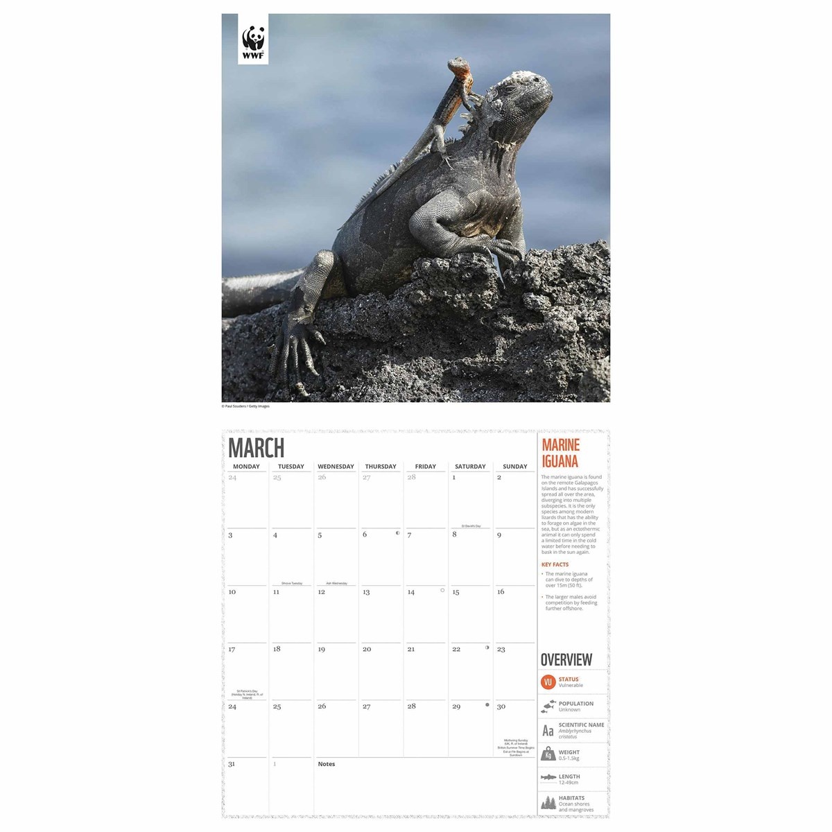 WWF Amazing Wildlife Calendar 2025 Buy Order easily online