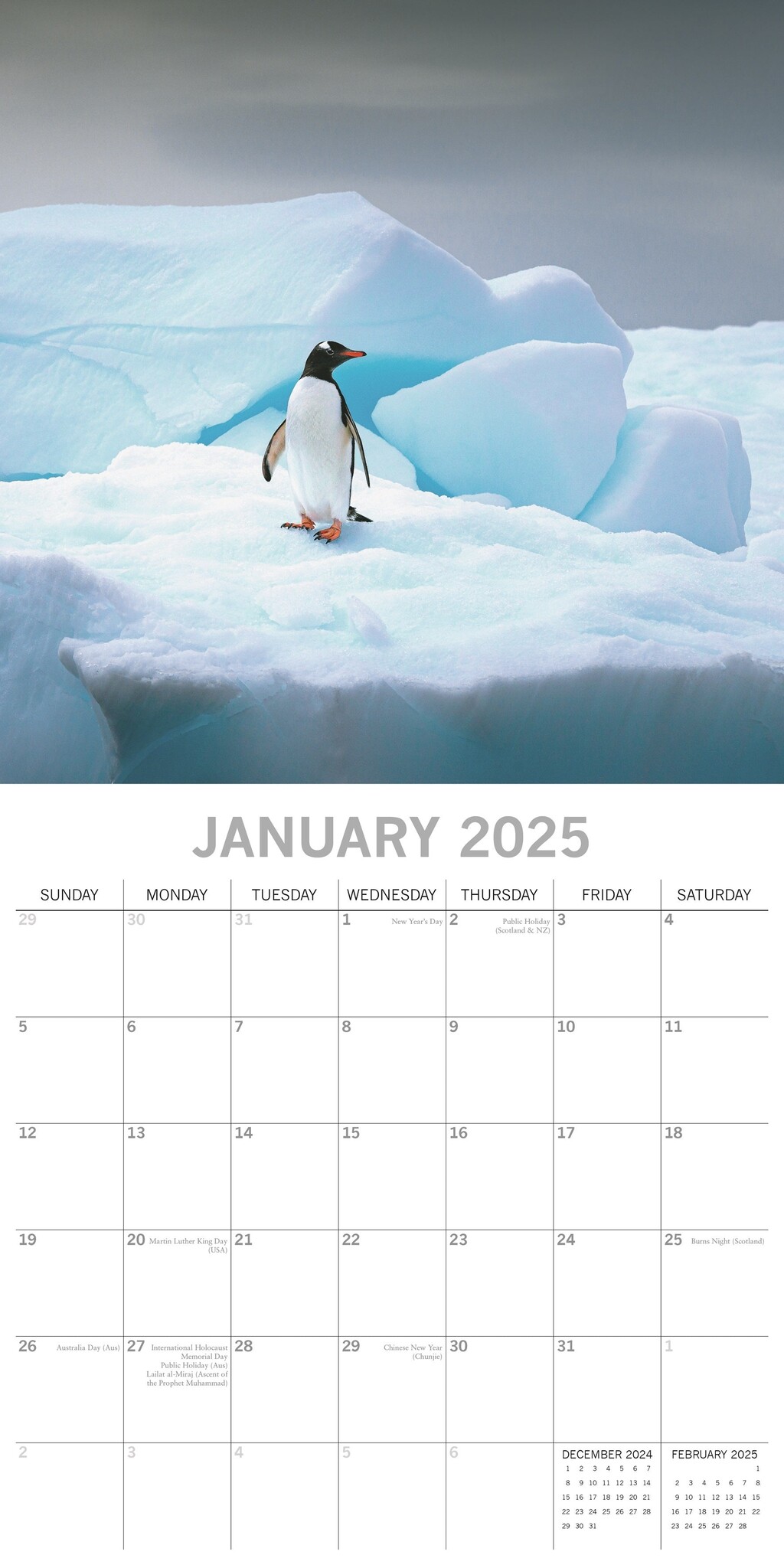 Buying Antarctica Calendar 2025? Quick and easy online Kalenderwinkel.nl