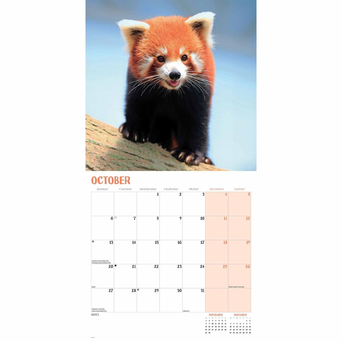 Rode Panda Kalender 2025 Kopen? Bestel eenvoudig online
