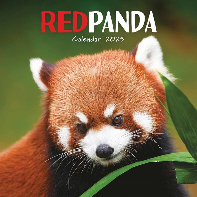 Calendario Panda Rojo 2025