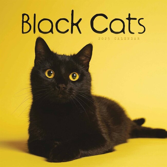 CarouselCalendars Black Cats Calendar 2025