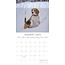 Calendario Beagle 2025