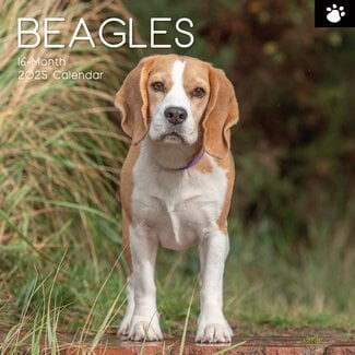 The Gifted Stationary Beagle Kalender 2025