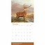 Calendrier de la faune britannique 2025