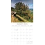 Beauty of Trees Calendar 2025