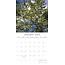 Beauty of Trees Calendar 2025