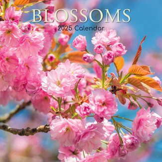 The Gifted Stationary Blütenkalender 2025
