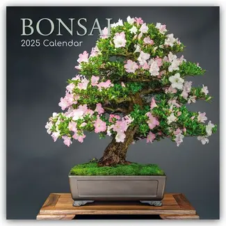 The Gifted Stationary Bonsai-Kalender 2025