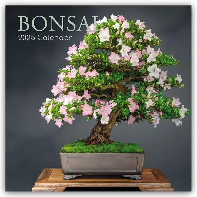 Bonsai-Kalender 2025