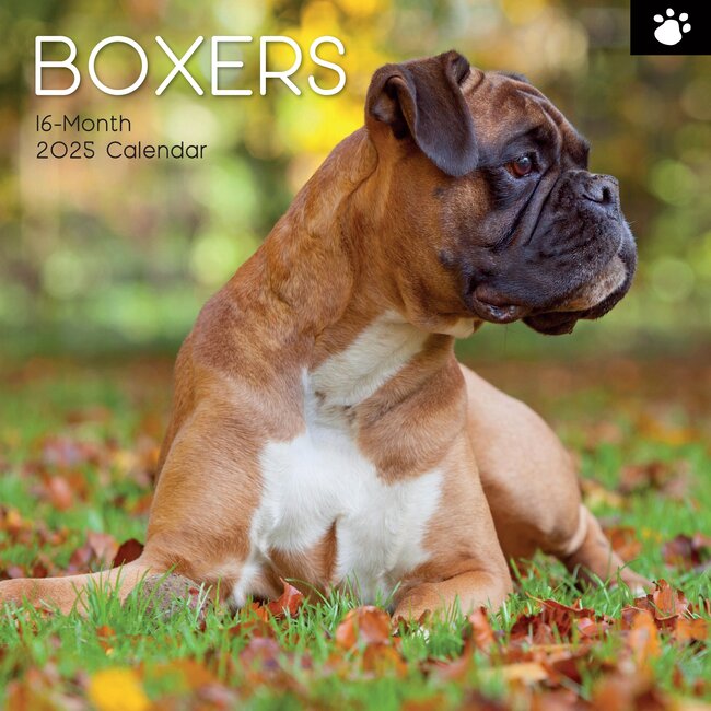 Calendario Boxer 2025