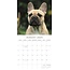 French Bulldog Calendar 2025