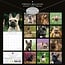 French Bulldog Calendar 2025