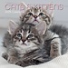 The Gifted Stationary Cats and Kittens Calendar 2025