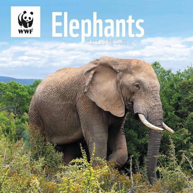 Calendario degli elefanti del WWF 2025