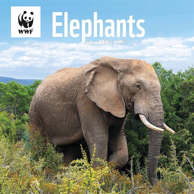 CarouselCalendars Calendario degli elefanti del WWF 2025
