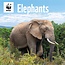 CarouselCalendars WWF-Elefantenkalender 2025