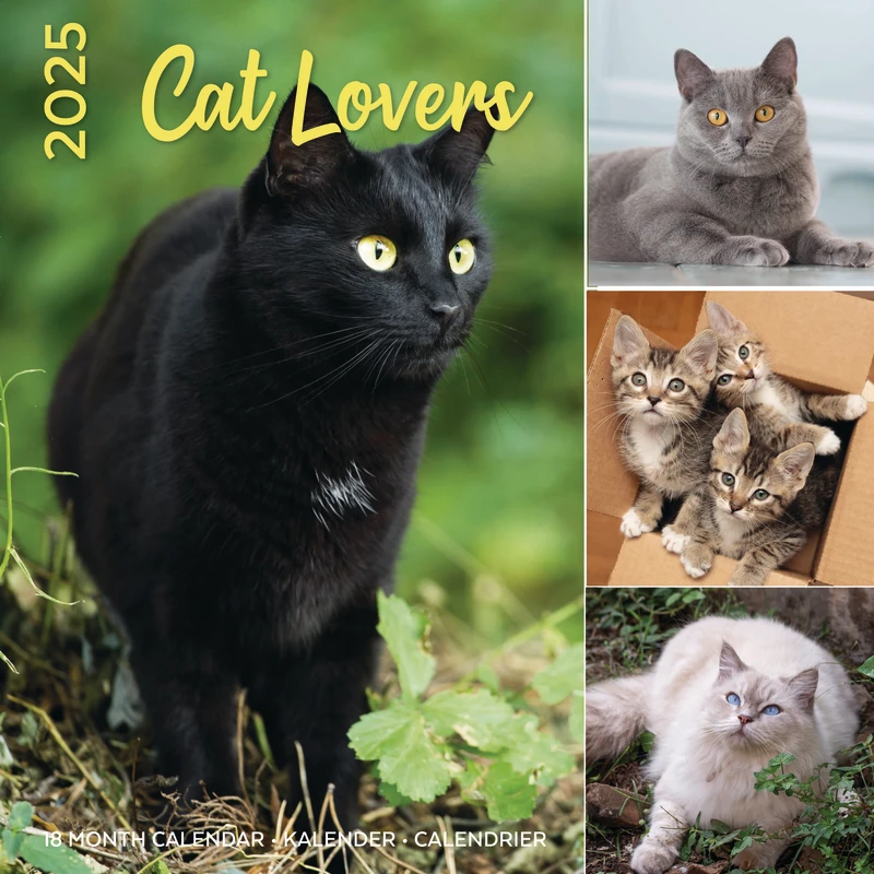 Cat Lovers Kalender 2025