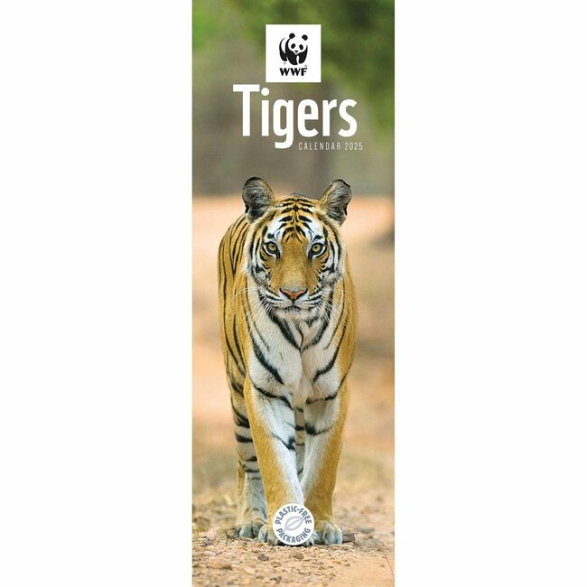 CarouselCalendars Calendrier WWF Tiger 2025 Slimline
