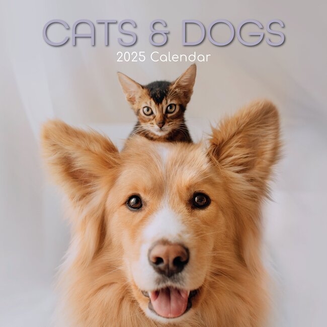 The Gifted Stationary Calendrier des chats et des chiens 2025