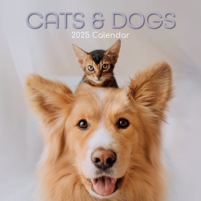 The Gifted Stationary Katzen und Hunde Kalender 2025
