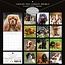 Cavalier King Charles Spaniel Calendar 2025