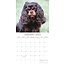 Cavalier King Charles Spaniel Kalender 2025