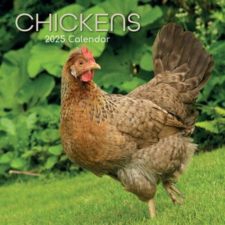 The Gifted Stationary Chickens Calendar 2025