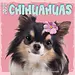 Plenty Gifts Chihuahua Studio Calendar 2025
