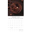 Calendario del cioccolato 2025