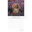 Calendario Cocker Spaniel Inglese 2025